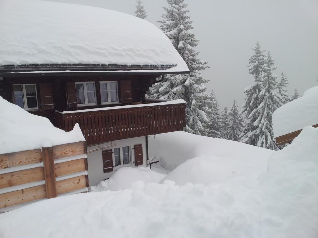 רידראלפ Chalet Grazia מראה חיצוני תמונה
